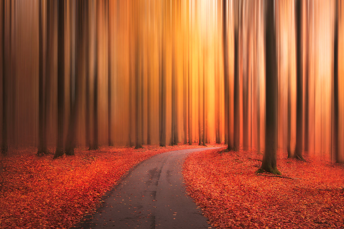 modern-3-piece-aluminium-print-path-to-unknown