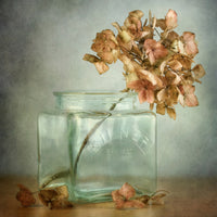 canvas-print-hydrangea-x
