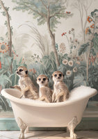 framedposter-print-meerkat-bath-time-fun