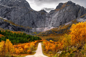 acrylic-print-road-to-the-wall-x