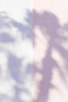 framedcanvas-print-las-vegas-palm-tree-shadows