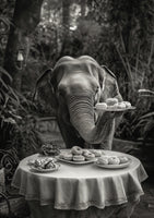poster-print-elephants-tea-time