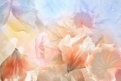 poster-print-ethereal-flowers-x