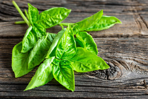 framedcanvas-print-basil-leaves-ii