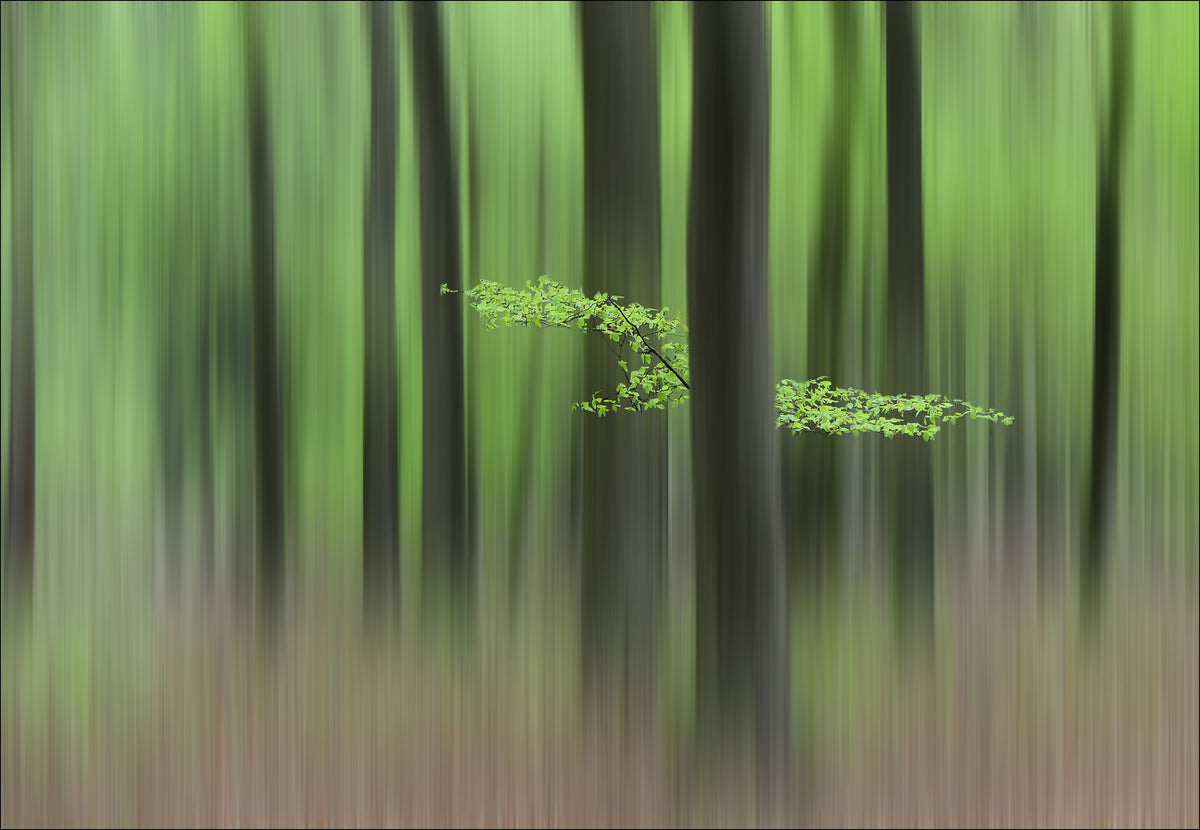 poster-print-spring-morning