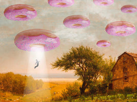 framedposter-print-donut-invasion