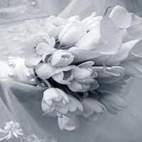 4-piece-acrylic-print-romantic-tulips-bouquet