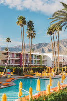 aluminium-print-palm-springs-saguaro