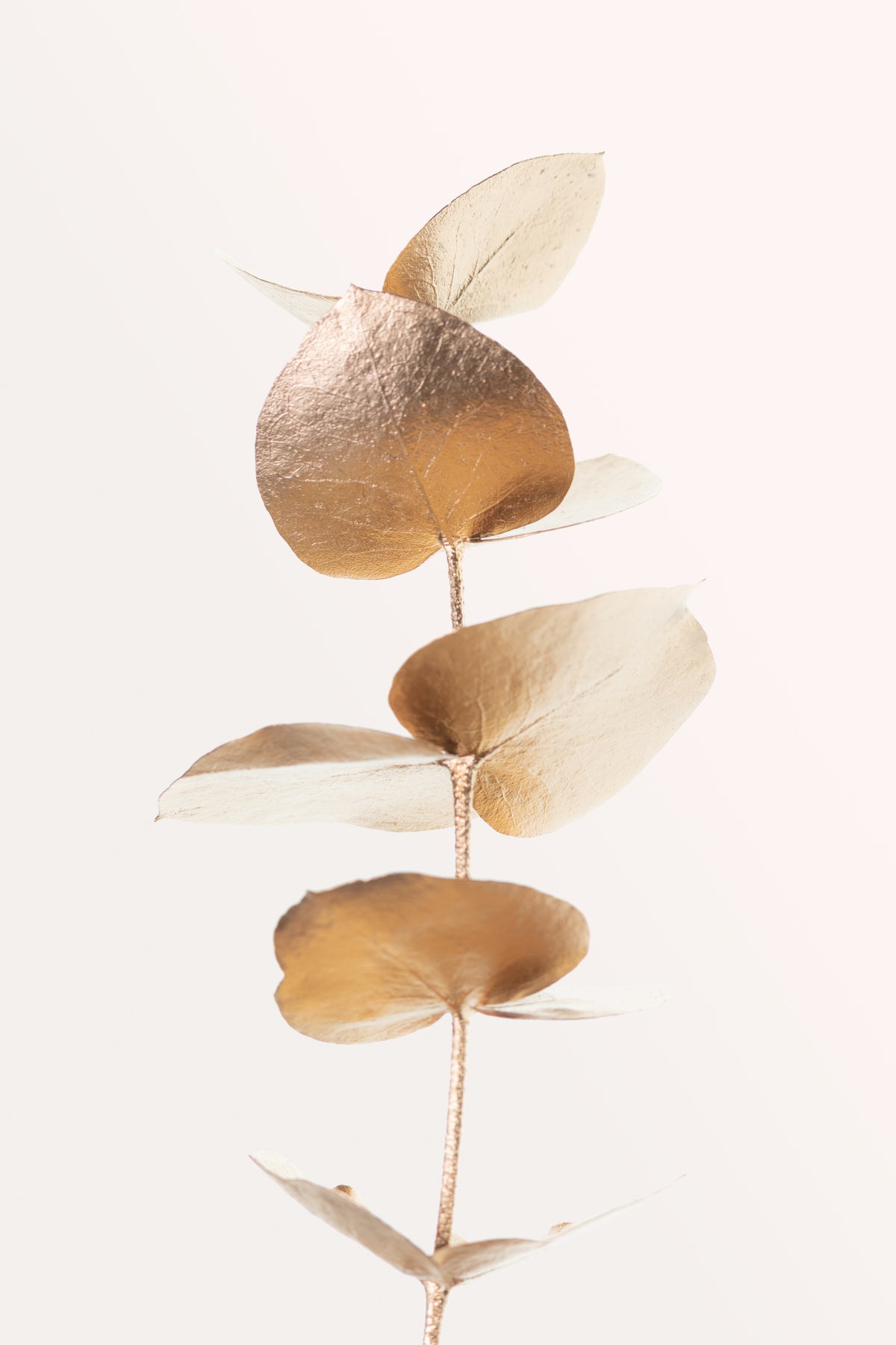acrylic-print-eucalyptus-gold-no-06