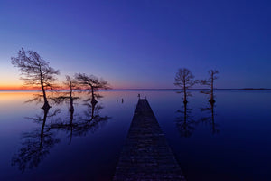 canvas-print-waiting-ii