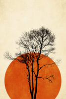 acrylic-print-in-the-wilderness