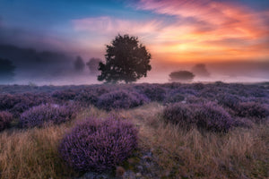 framedposter-print-qautumn-longingq-x