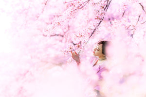 framedcanvas-print-sakura