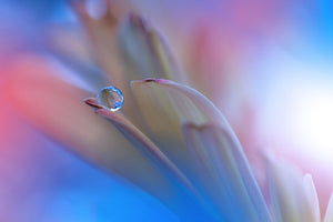 framedposter-print-touch-me-softly