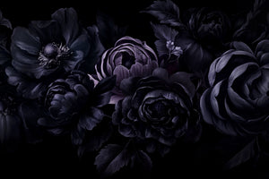 acrylic-print-nocturnal-flower-drama