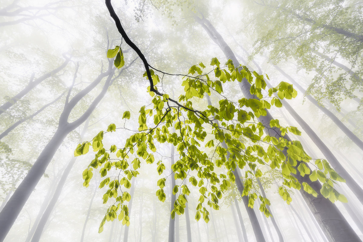 3-piece-aluminium-print-breath-of-light-2