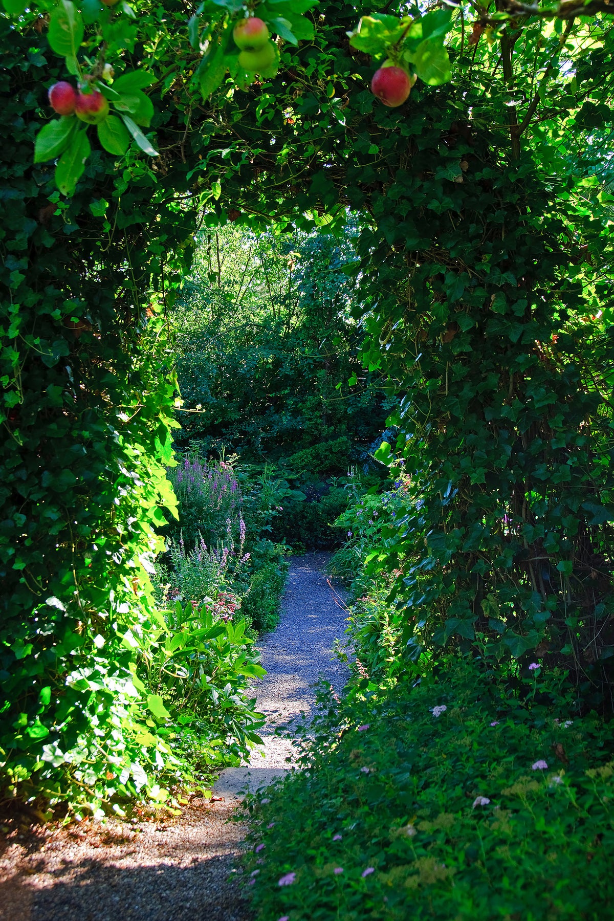 canvas-print-in-paradise-garden