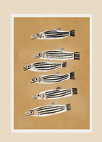 acrylic-print-minimal-fish-study