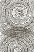 acrylic-print-tree-age