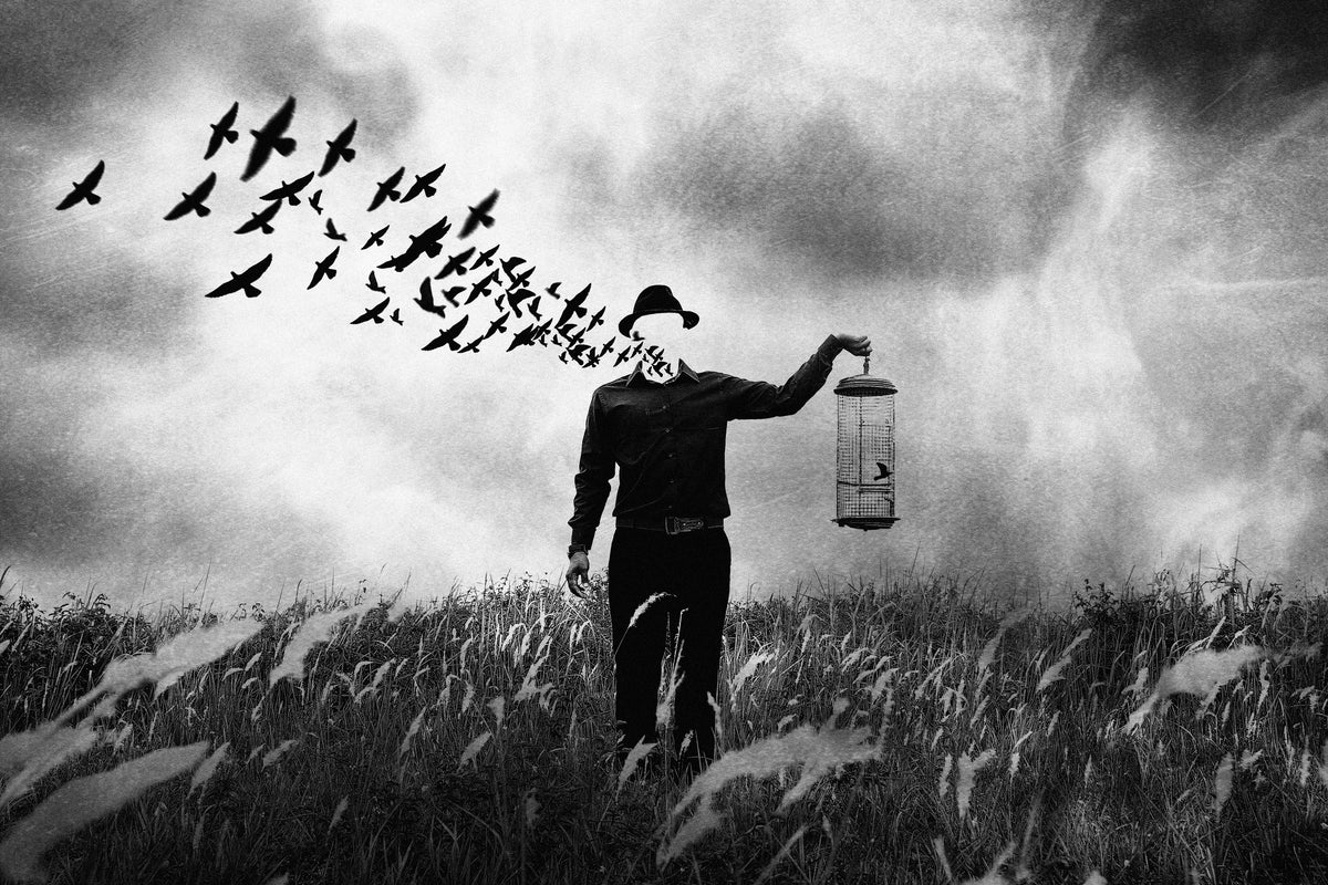 framedcanvas-print-freedom