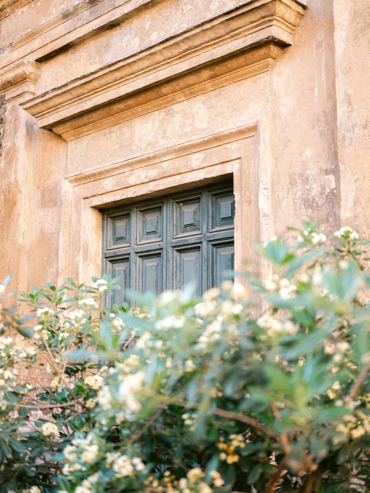 canvas-print-botanical-trastevere-rome