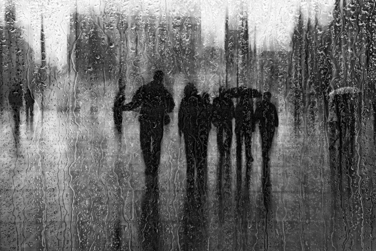canvas-print-after-the-rain