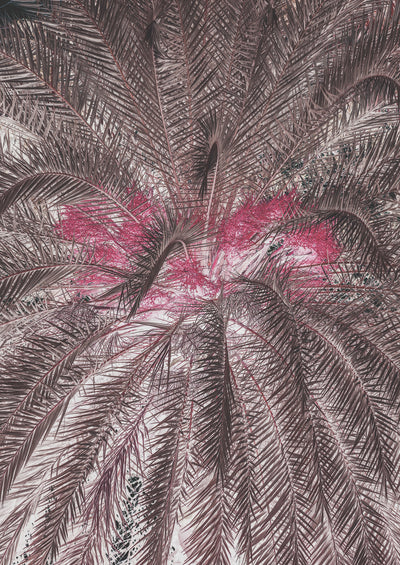 poster-print-vivid-portrayal-of-palm-leaves