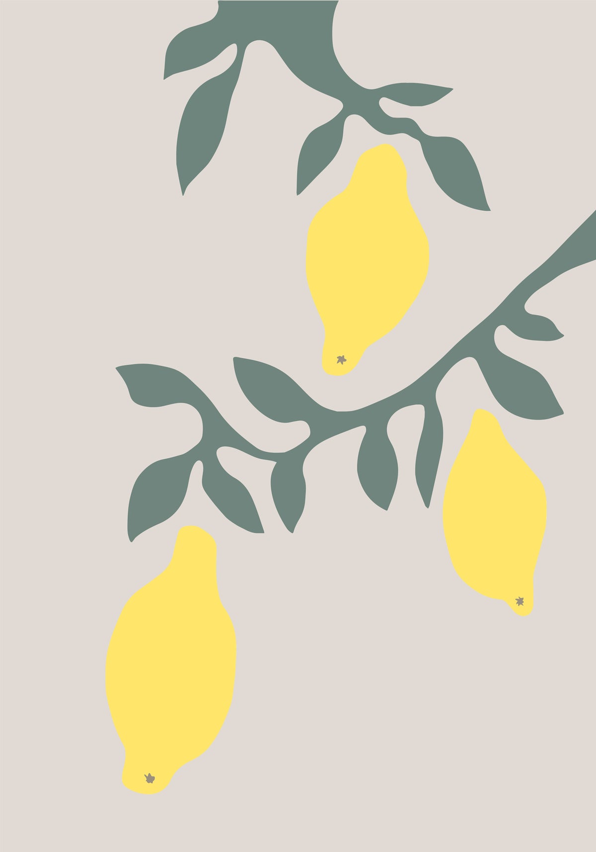 canvas-print-lemons-2
