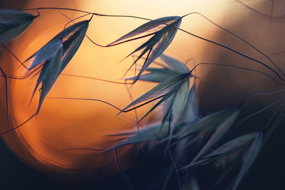 aluminium-print-sunset-p
