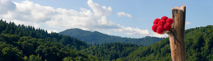 panoramic-poster-print-schwarzwalder-bollenhut