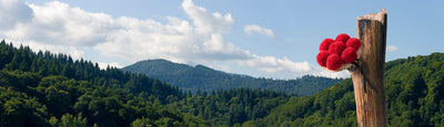 panoramic-poster-print-schwarzwalder-bollenhut
