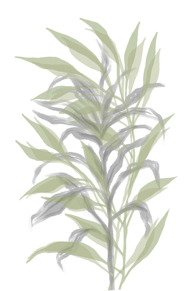 poster-print-silent-bamboo-leaf