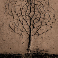 aluminium-print-asphalt-tree