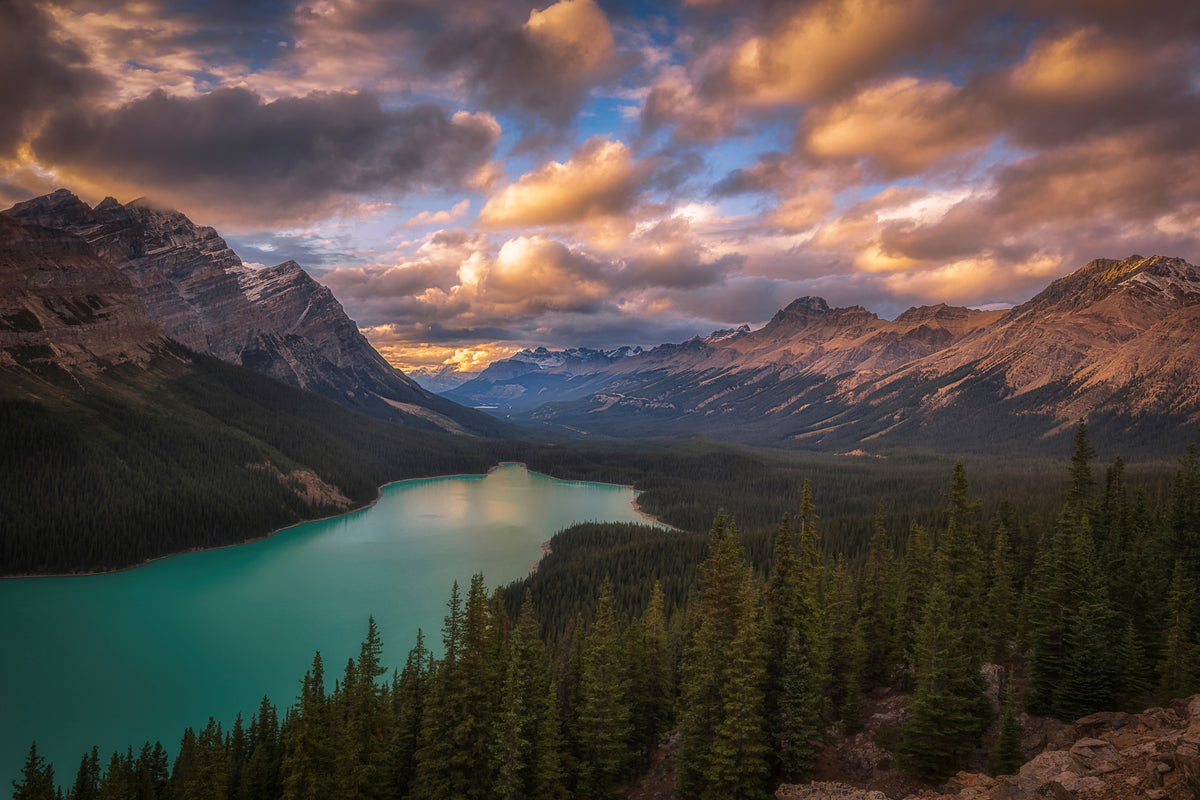 3-piece-aluminium-print-peyto-lake-at-dusk