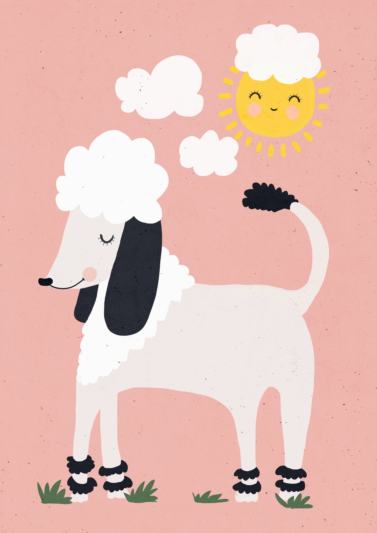 canvas-print-poodle-sunshine