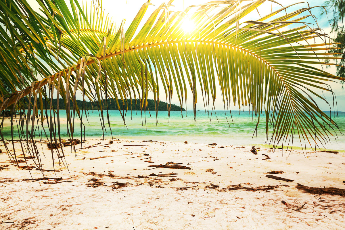 acrylic-print-swing-out-of-the-hammock