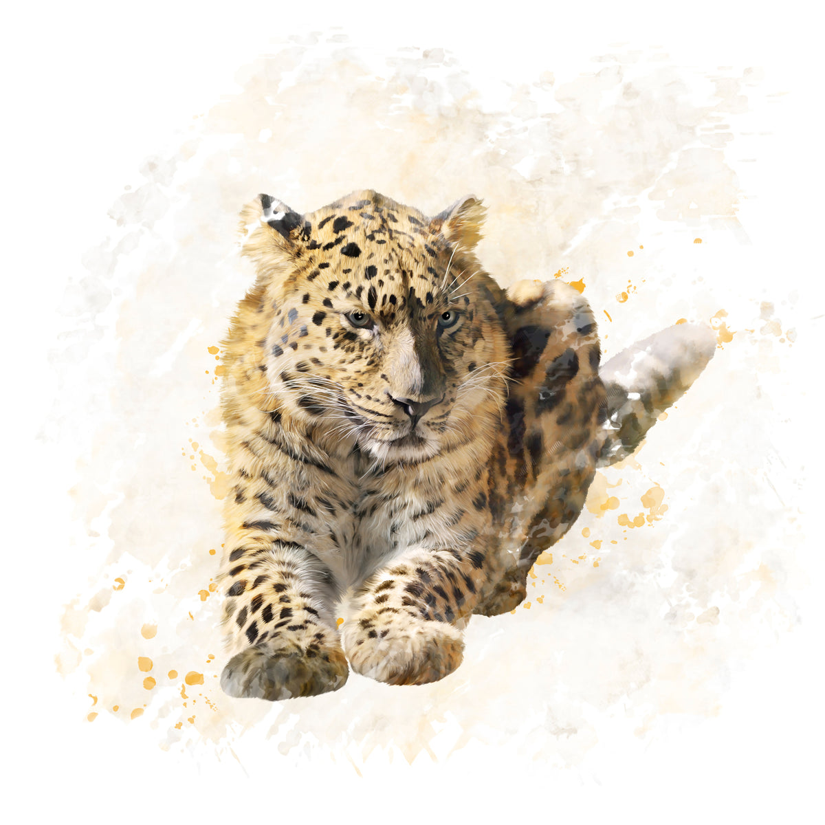aluminium-print-painting-lynx