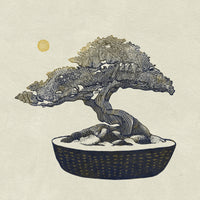 canvas-print-bonsai-tree