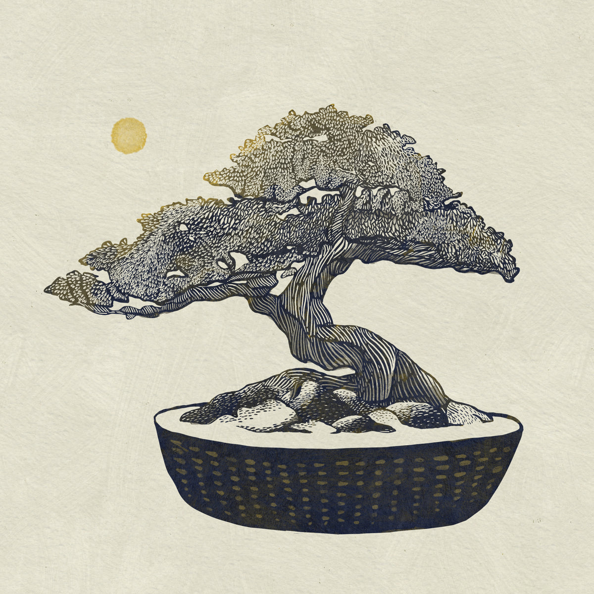 canvas-print-bonsai-tree