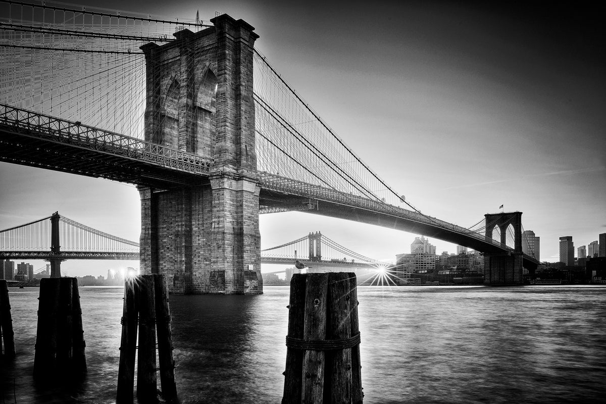 aluminium-print-brooklyn-bridge-sunrise-x