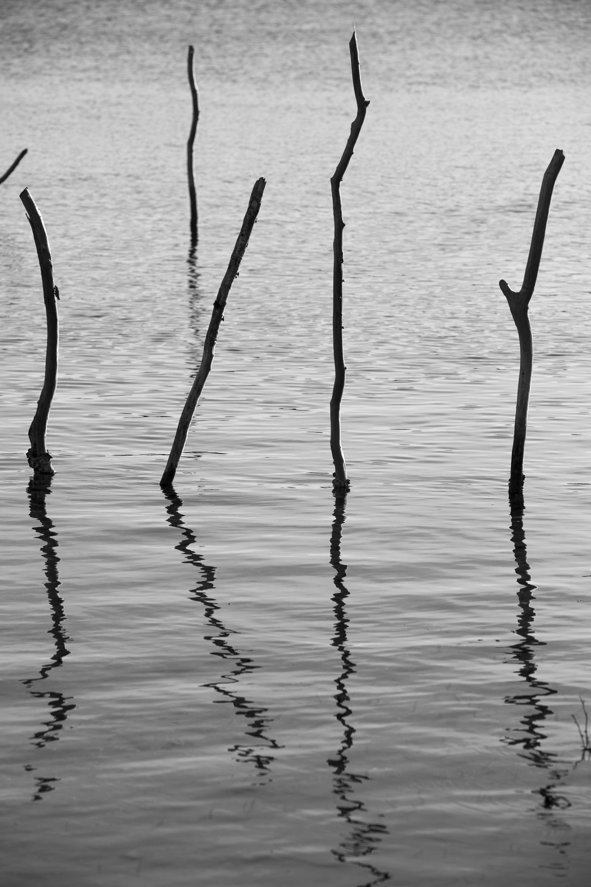 acrylic-print-sticks-and-shadows
