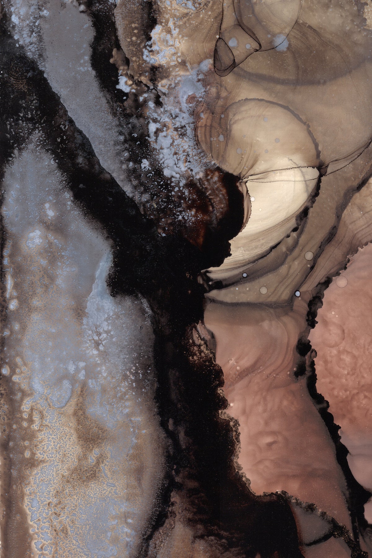 canvas-print-organic-shapes-with-earthy-tones