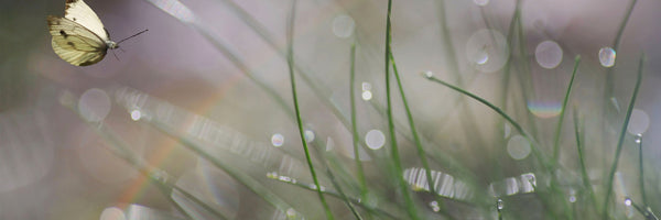 panoramic-aluminium-print-imminent-landing-panorama