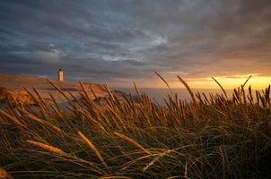 3-piece-acrylic-print-lighthouse-beyond-the-dunes