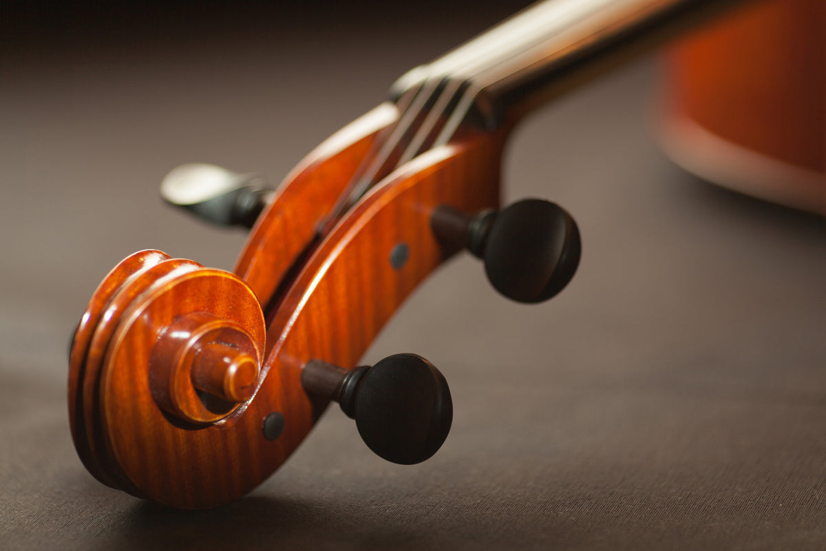 poster-print-close-up-violin