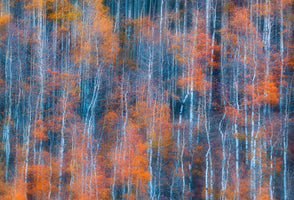 acrylic-print-autumn-abstract-2