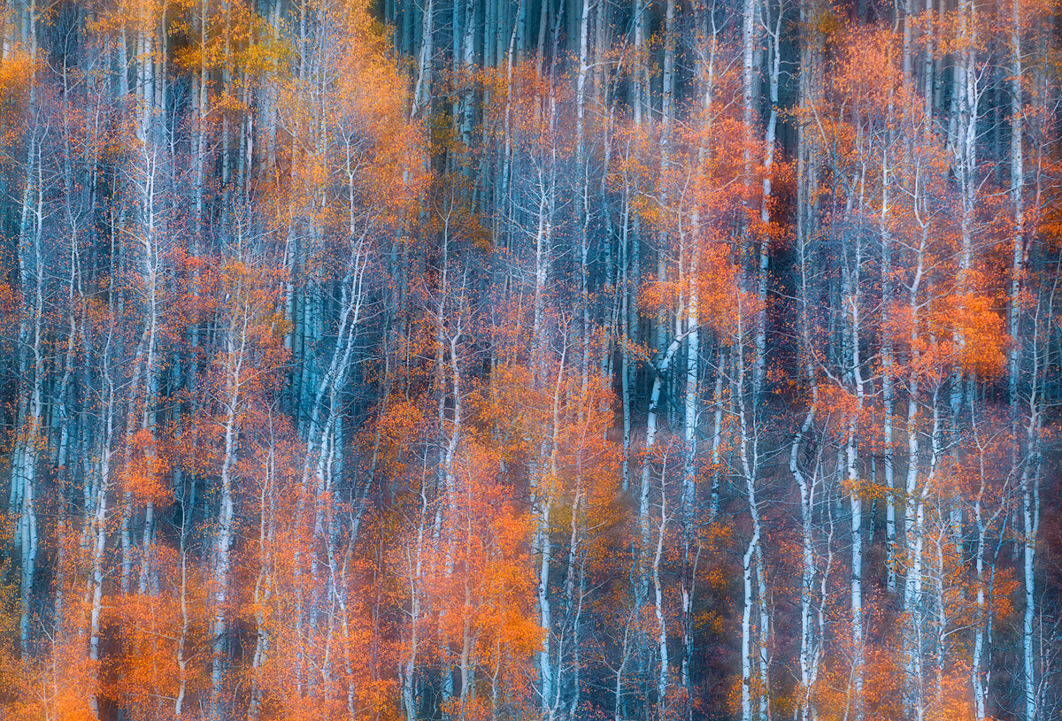 acrylic-print-autumn-abstract-2