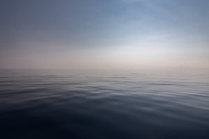 poster-print-the-silence-of-the-sea