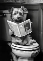 framedposter-print-potty-pooch