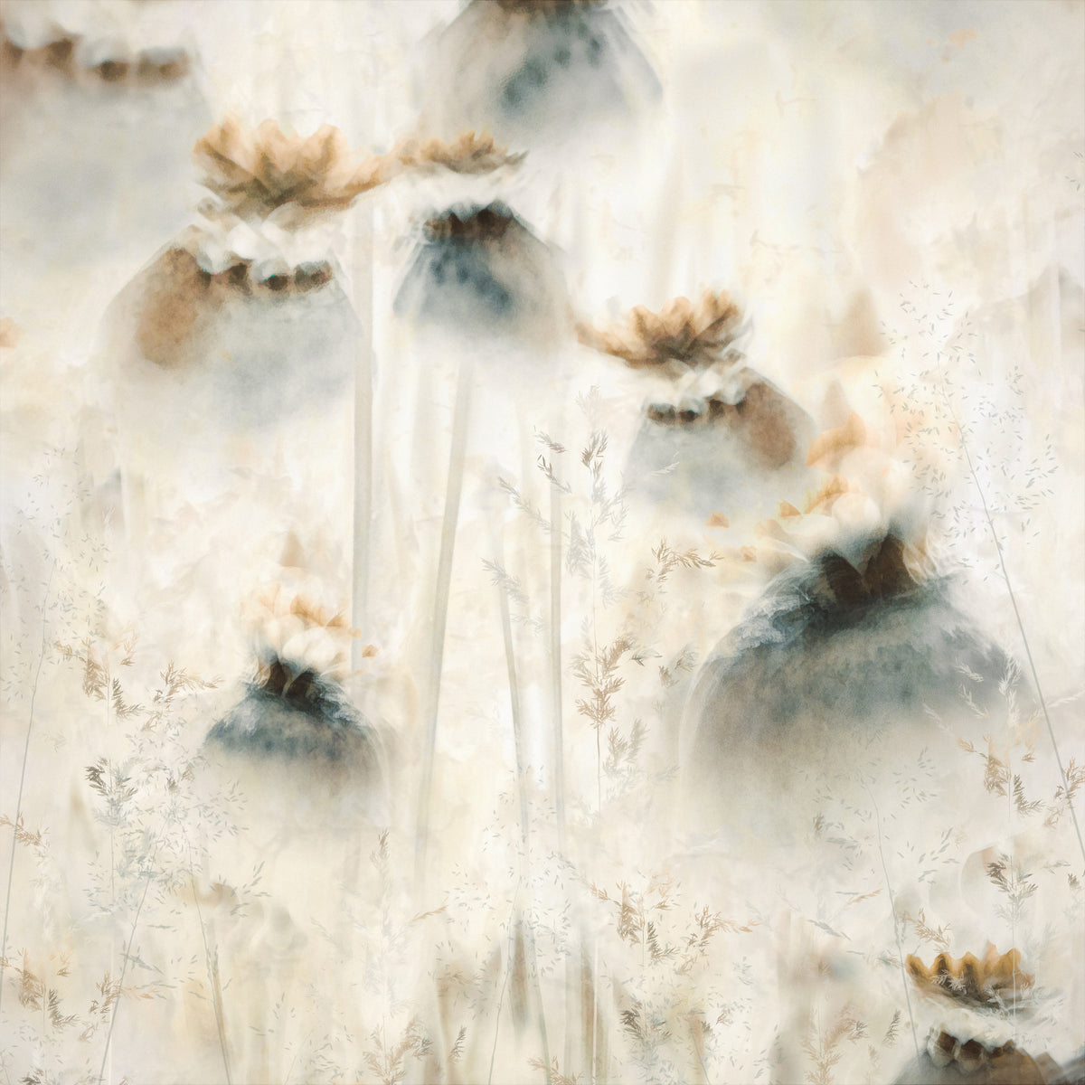 aluminium-print-seed-pods